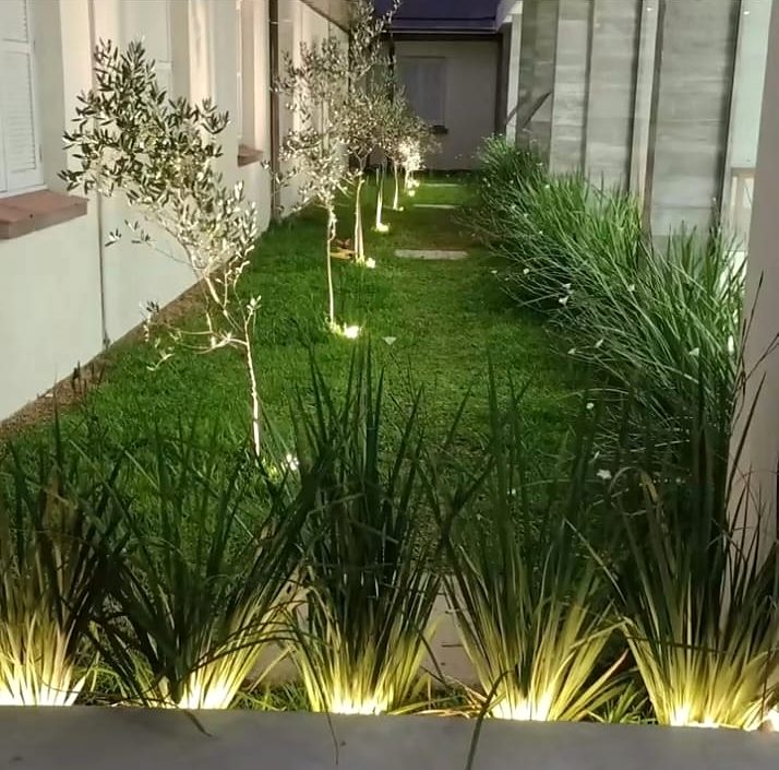Jardim lateral com gramado, plantas e iluminação embutida